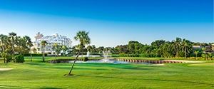 All About Marco Island, Florida 3