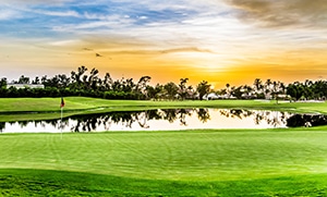 All About Marco Island, Florida 9
