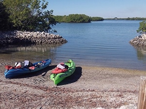 All About Marco Island, Florida 4
