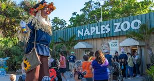 All About Naples, Florida 9