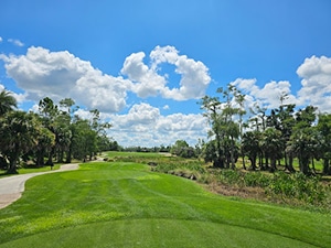 All About Naples, Florida 10